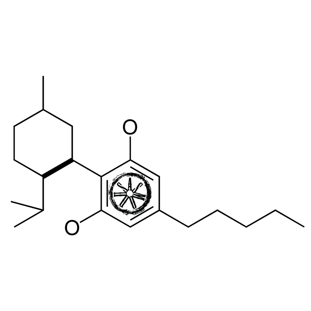 Curious about CBD?